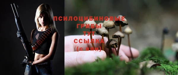 apvp Пестово