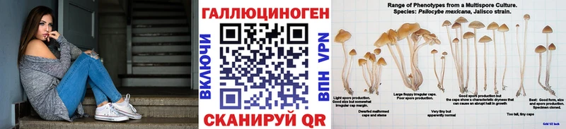 Псилоцибиновые грибы мицелий Аша