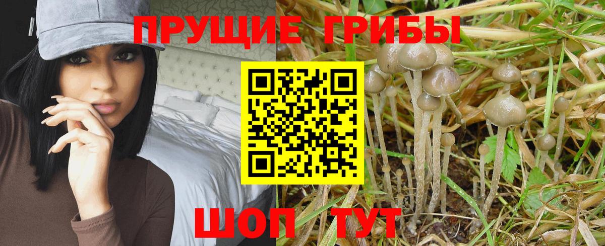 Галлюциногенные грибы ЛСД Аша