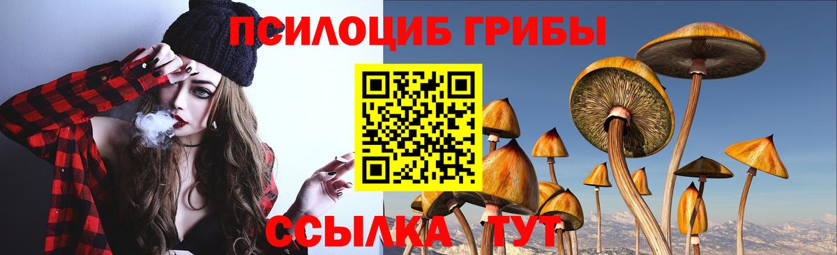 Галлюциногенные грибы мицелий  Псилоцибиновые грибы GOLDEN TEACHER  Аша  Вход с VPN 