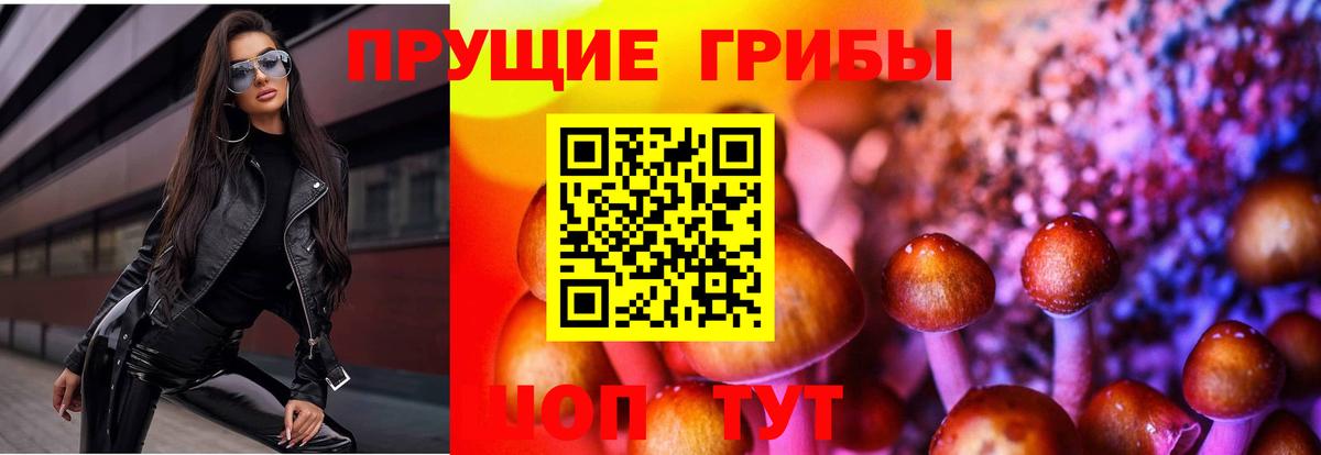 Псилоцибиновые грибы Psilocybine cubensis Аша